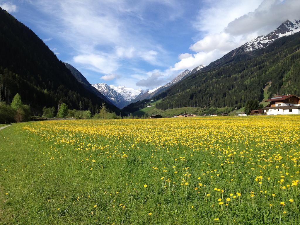Pension Klampferer Neustift im Stubaital Phòng bức ảnh
